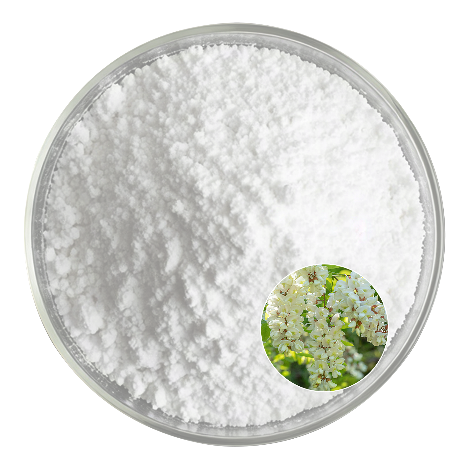 Sophoricoside