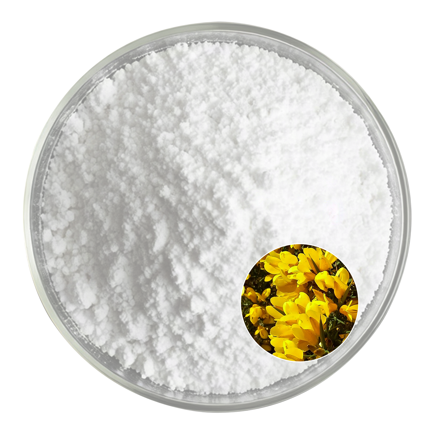 Cytisine