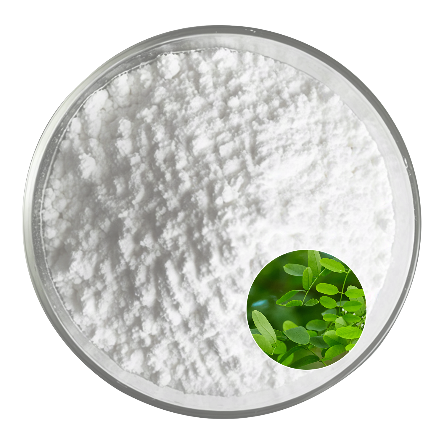 Oleanolic Acid