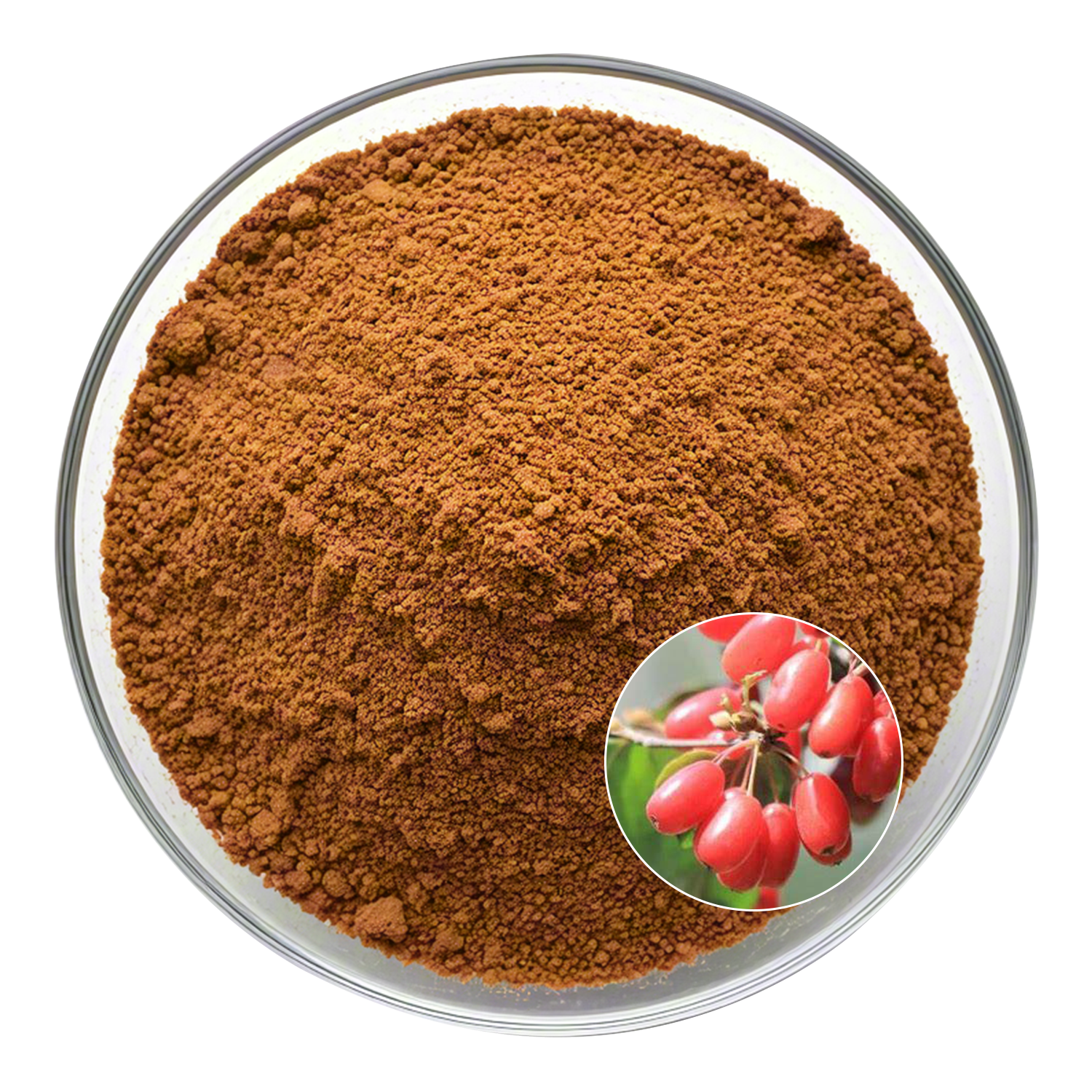 Cornus Officinalis Extract