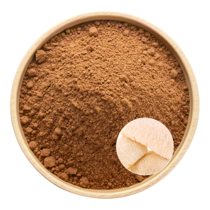 Lions Mane Powder