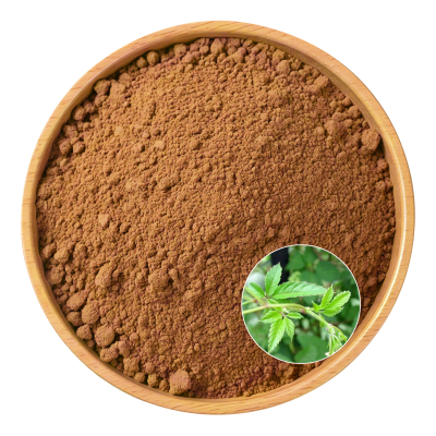 Gynostemma Pentaphyllum Extract