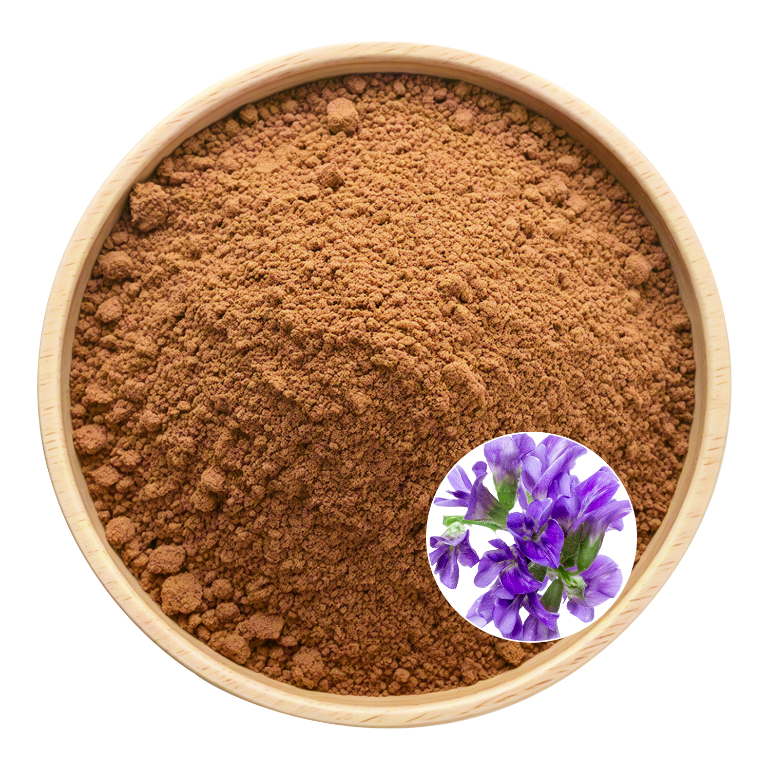 Alfalfa Extract
