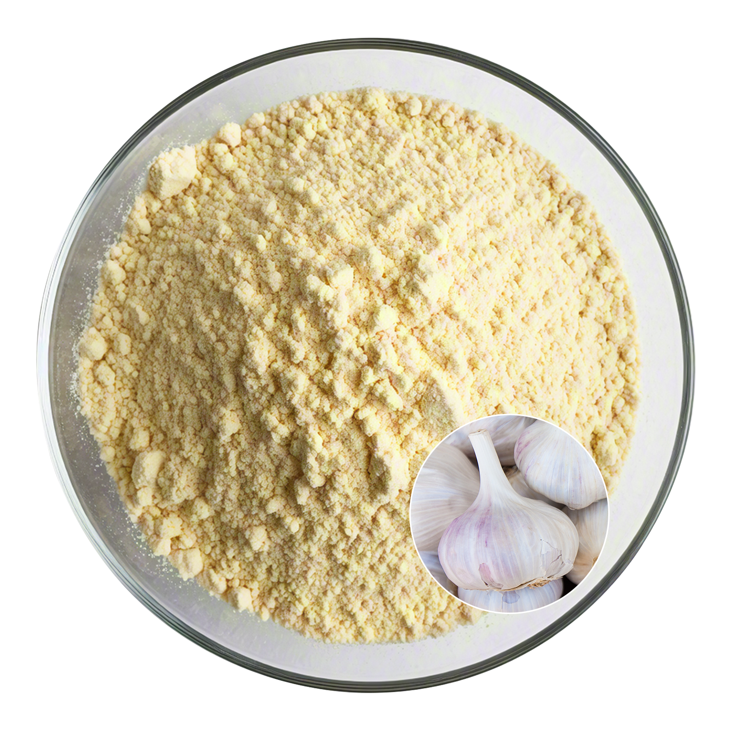 Garlic Extract