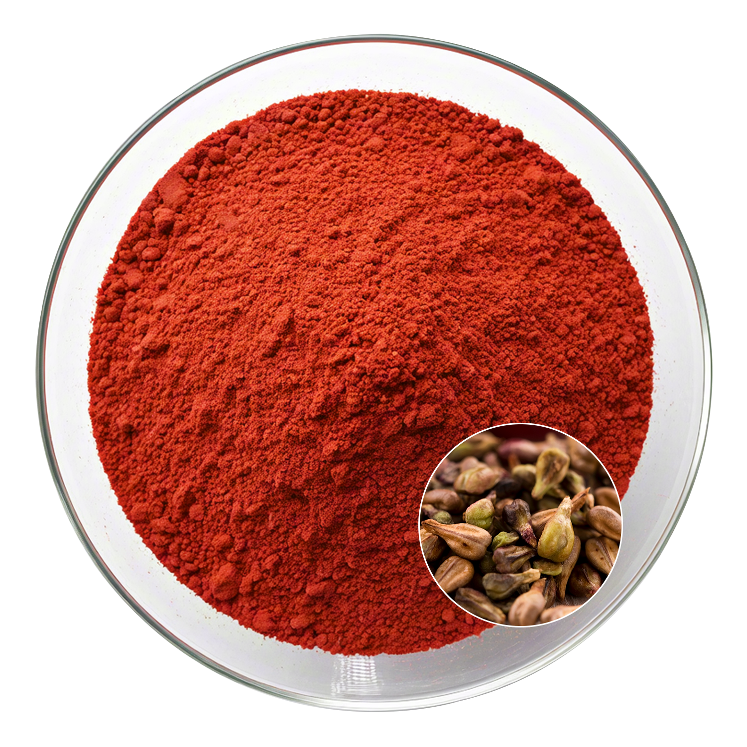 Grape Seed Extract
