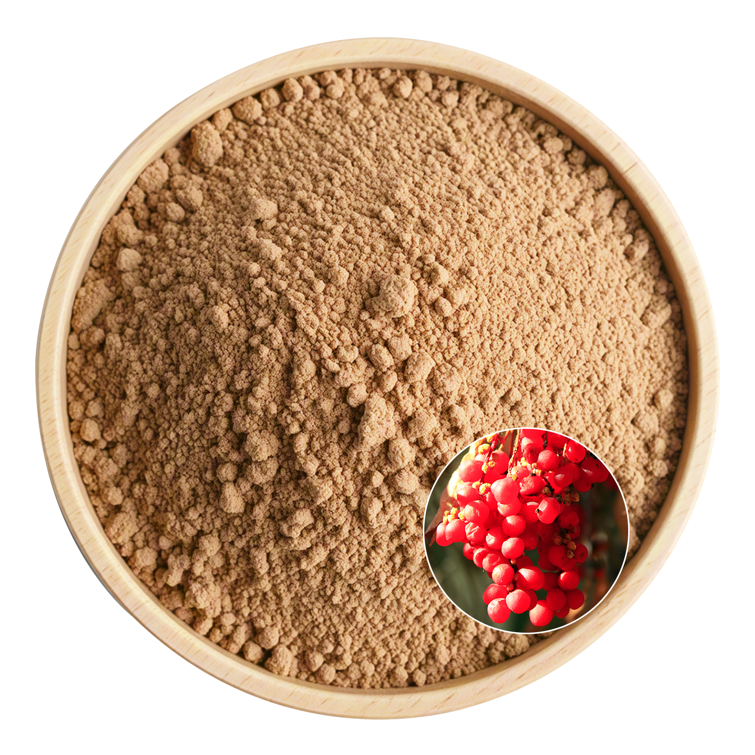 Schisandra Extract